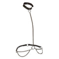 Euphoria Collection Plus Size Chain Halter/collar and Leash - Black Luxe Ember Essentials