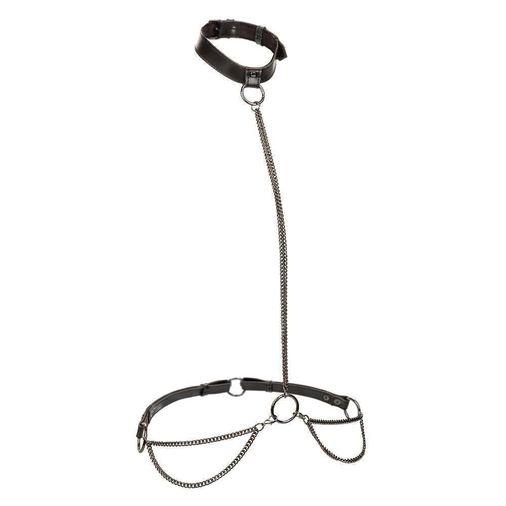Euphoria Collection Plus Size Chain Halter/collar and Leash - Black Luxe Ember Essentials