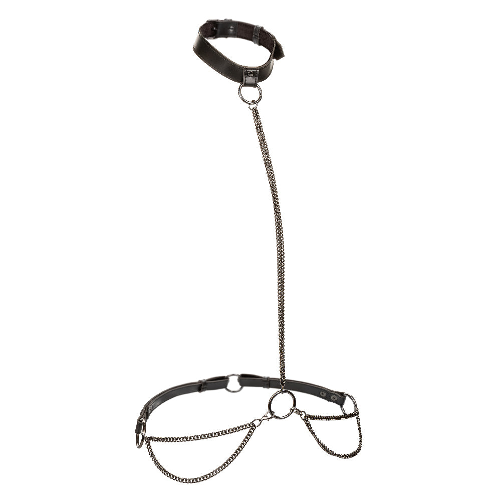 "Euphoria Collection Plus Size Chain Halter/collar and Leash - Black SE3101013"