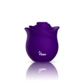 Zen Rose - Violet Luxe Ember Essentials