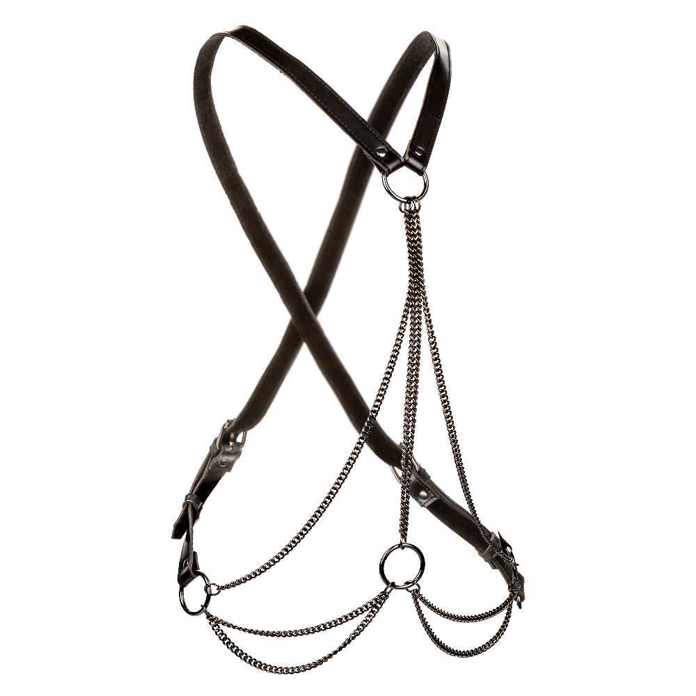 Euphoria Collection Plus Size Multi Chain Harness - Black Luxe Ember Essentials
