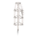 Ultimate Cock Cage - Clear Luxe Ember Essentials