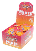 Naughty Mints Display Carton 100 3.1g Bags Luxe Ember Essentials