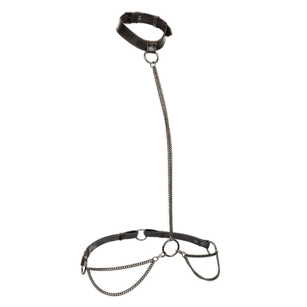 Euphoria Collection Chain Halter/collar and Leash - Black Luxe Ember Essentials