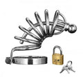 Asylum 4 Ring Locking Chastity Cage - Small/medium Luxe Ember Essentials