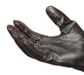 Vampire Gloves Medium Luxe Ember Essentials