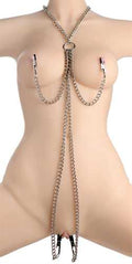 Chained Collar With Nipple and Clit Clamps - Silver Luxe Ember Essentials
