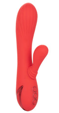 California Dreaming Palisades Passion - Coral Luxe Ember Essentials