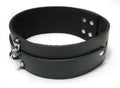 Bondage Basics Black Leather Collar Luxe Ember Essentials