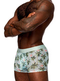 Sheer Prints - Seamless Sheer Short - X-Large - Flamingo Luxe Ember Essentials